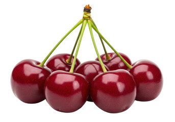 Isolated group of fresh ripe red cherries with green stems ready for dessert or healthy eating