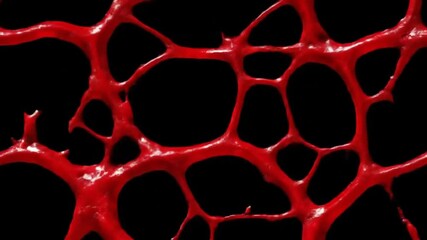 Looping Blood Veins Network (Creepy Organic)