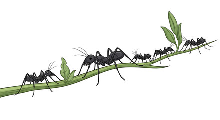 A Line of Ants Marching Along a Leafy Branch