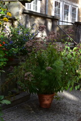 Summer trip to the seaside city of Gdańsk in Poland.