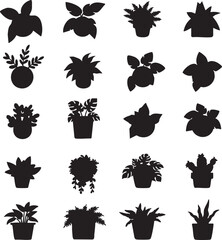 Fototapeta premium Indoor Plant Silhouettes, Potted Houseplants Vector, Top Down Plan View, Minimal Design, Isolated Flat Element