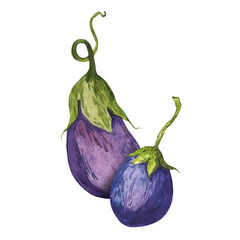 A composition of hand-painted watercolor eggplants