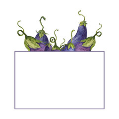 A frame of hand-painted watercolor eggplant illustrations