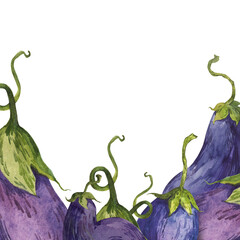 A frame of hand-painted watercolor eggplant illustrations