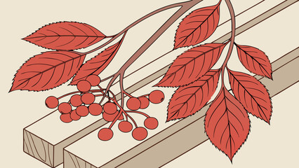 Autumnal Foliage and Berries Illustration.