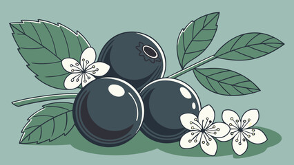 Beautiful Blueberry Illustration with Leaves and Flowers.