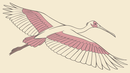 Bird in Flight Illustration.