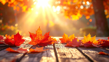 Autumn's Golden Embrace: Radiant sunbeams illuminate a wooden surface adorned with vibrant, fallen maple leaves, painting a scene of warmth and the gentle transition of seasons.
