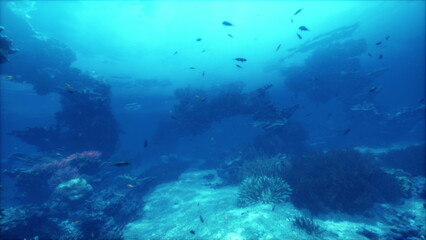 Colorful fish swim gracefully among coral formations in a clear ocean. Sunlight filters through the water, creating a serene blue ambiance that showcases marine biodiversity.