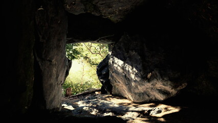 A dark cave opening reveals stunning greenery outside, contrasting with the rough stone interior. Sunlight spills in, illuminating the transition from shadow to light.
