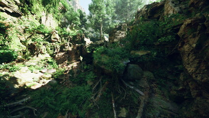 Sunlight filters through the dense canopy, illuminating the vibrant green foliage. Rocky formations and tree roots intertwine, creating a peaceful atmosphere in the untouched wilderness.