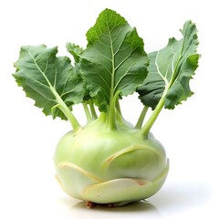 Fresh Kohlrabi Vegetable with Green Leaves on White Background