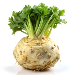 Celeriac Root with Green Stalks on White Background