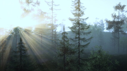 Golden rays of sunlight shine down as morning mist envelops tall trees. The peaceful forest awakens with soft hues, creating a magical and tranquil atmosphere to start the day.