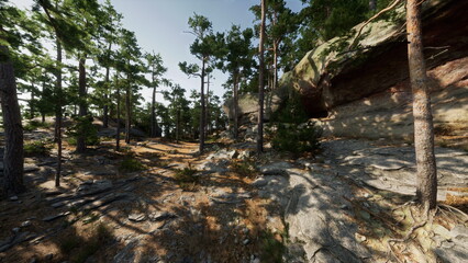 A peaceful forest scene with tall trees casting dappled shadows on rocky paths. Sunlight streams through leaves, creating a tranquil atmosphere in natures embrace.