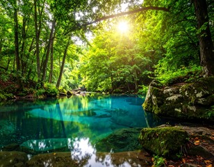 Obraz premium Serene forest pool. Sunlight streams through lush trees onto a crystal-clear pool