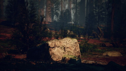 In a serene forest, gentle sunlight breaks through tall trees, casting soft light on a large rock and surrounding greenery, creating a peaceful and natural atmosphere.