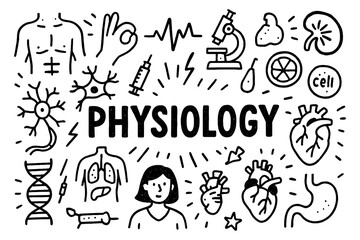 Human physiology doodle with organs brain heart dna and medical science elements, Transparent Background
