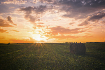 Sunset over hay bales in a field. Golden light bathes the landscape, creating a tranquil scene. For...
