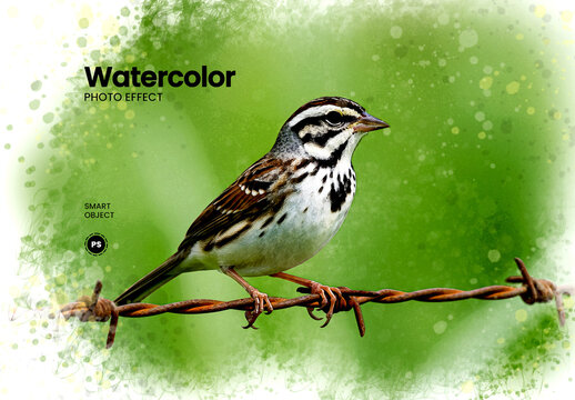 Watercolor Photo Effect