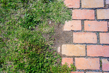 Transition between green lawn and red terracotta tile pathway edge, where contrasting textures...
