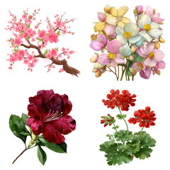 Watercolor floral set with different colorful flowers on transparent background