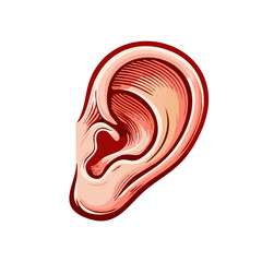 Detailed Human Ear Illustration Depicting Anatomy and Sensory Perception