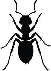 Obraz premium Adobe Illustrator Artwork ant silhouette viewed from above with segmented body and jointed legs on white background