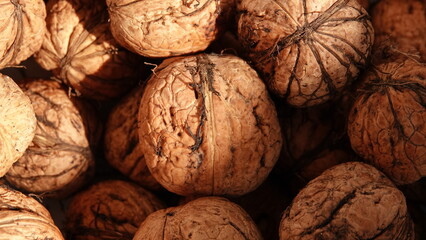 Orzech włoski w twardej, brązowej łupinie