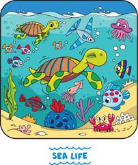 Sea theme. Turtle in the ocean vector illustration