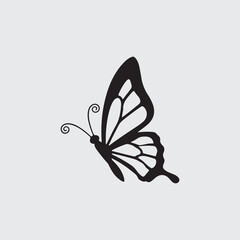 Elegant butterfly illustration with vibrant colors and detailed wings