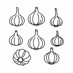 Hand-drawn line art garlic icons set. Simple outline vector illustrations of various garlic bulbs for food and culinary designs.