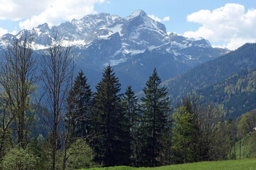 Blick von Hintergraseck auf die Alpspitze