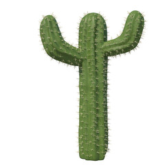 Cactus sun light isolated transparent background 3d rendering
