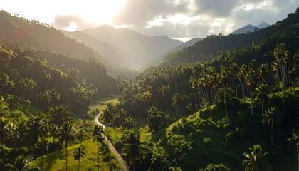 Lush valley road at sunset