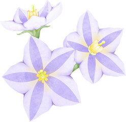 Watercolor Eggplant Flower Cluster