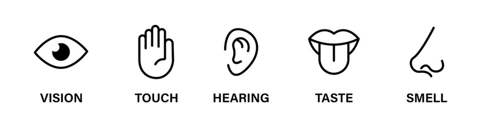 Five human senses flat vector icon set. Vision touch hearing taste smell senses collection. Human fillings icons. Human nervous system senses. Eye hand ear mouth nose icons set. Line icons. Vector EPS