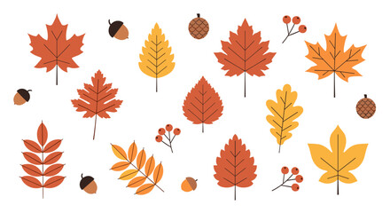 Collection of autumn leaves and forest elements

