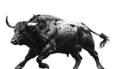 Charging Angry Bull, Side View, Transparent Background, PNG