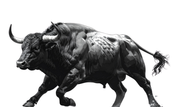Charging Angry Bull, Side View, Transparent Background, PNG