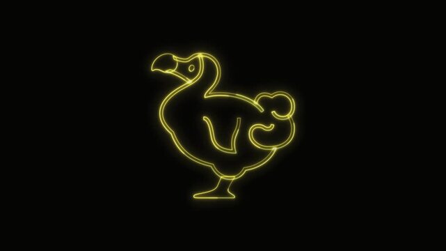  Dodo Animal Icon Neon Seamless Loop 4K with Black Background Animated Promotional Typography for Video Editing