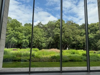 Naklejka premium Beautiful green trees and other different plants under blue sky, view through panoramic windows