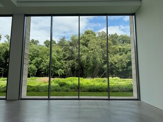 Beautiful green trees and other different plants under blue sky, view through panoramic windows