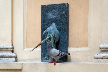 Obraz premium Pigeon drinking water from Fontana del Leocorno on Via Pantaneto in Siena, Tuscany, Italy