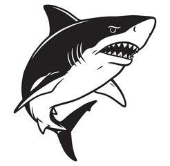 Fototapeta premium Fierce black and white illustration of a great white shark with open jaws ready to attack