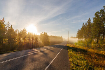 Scenic empty asphalt road through forest at sunrise with fog and warm golden sunlight, peaceful morning landscape ideal for travel, nature, adventure and freedom concepts