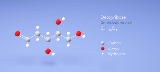 deoxyribose molecule, molecular structure, dna component 3d model, Structural Chemical Formula and Atoms with Color Coding
