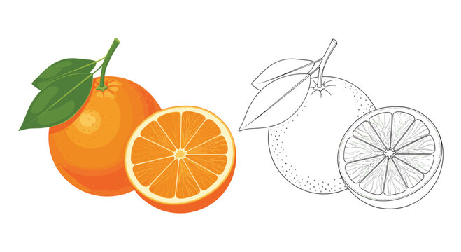 A whole orange and a sliced orange with leaves.