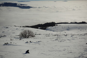 Winter landscapes of the old mountain. Stara Planina Ski Center in winter, ski slopes, clear blue sky above the snowy peaks of Stara Planina 