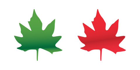 Fototapeta premium Maple Leaves vector Chinar Leaf Kashmir Logo isolated on white background